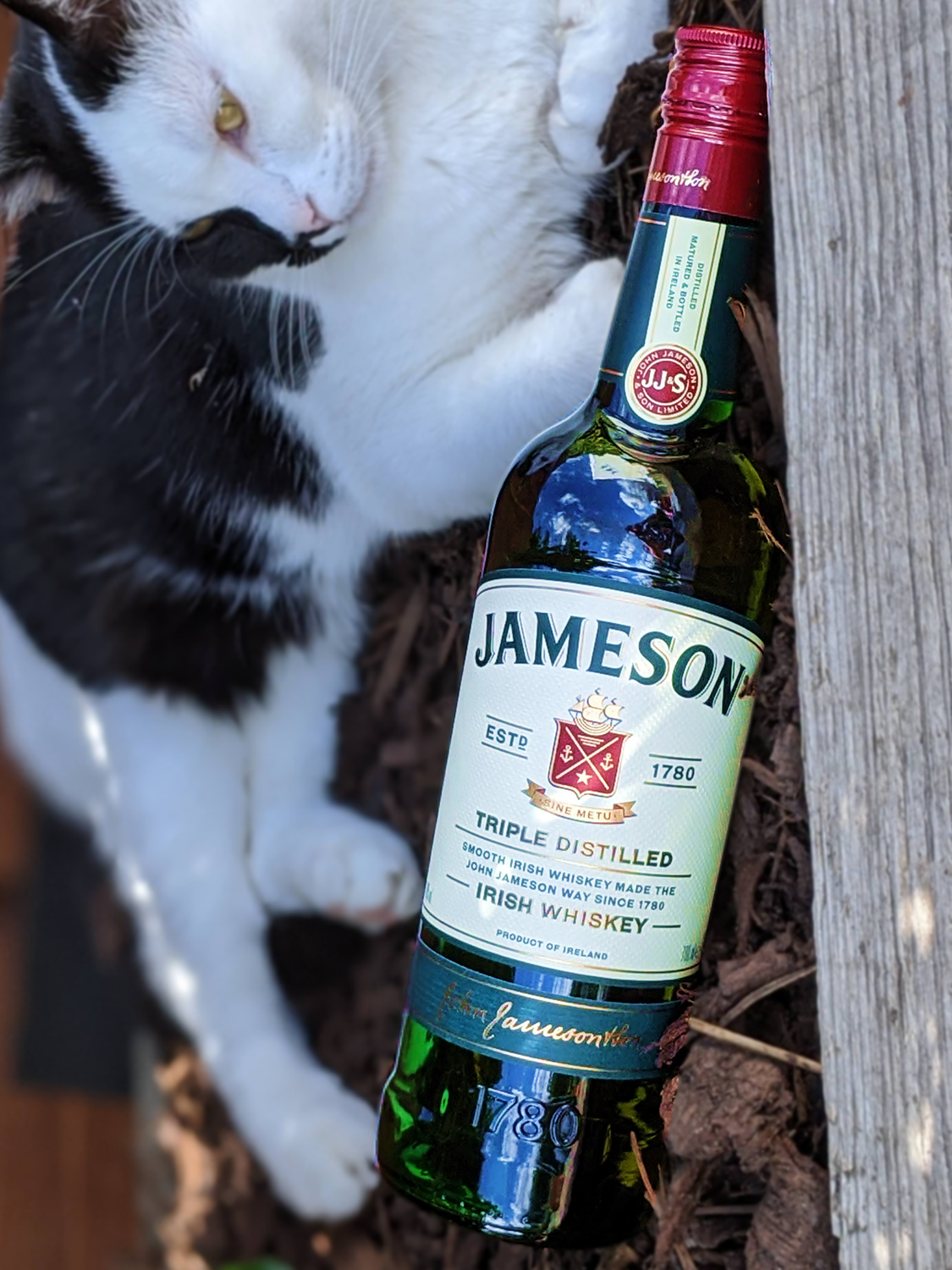 Jameson Whisky Review by Jeff Whisky